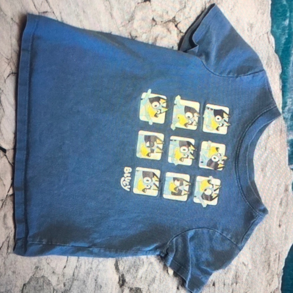 Toddler Bluey tee